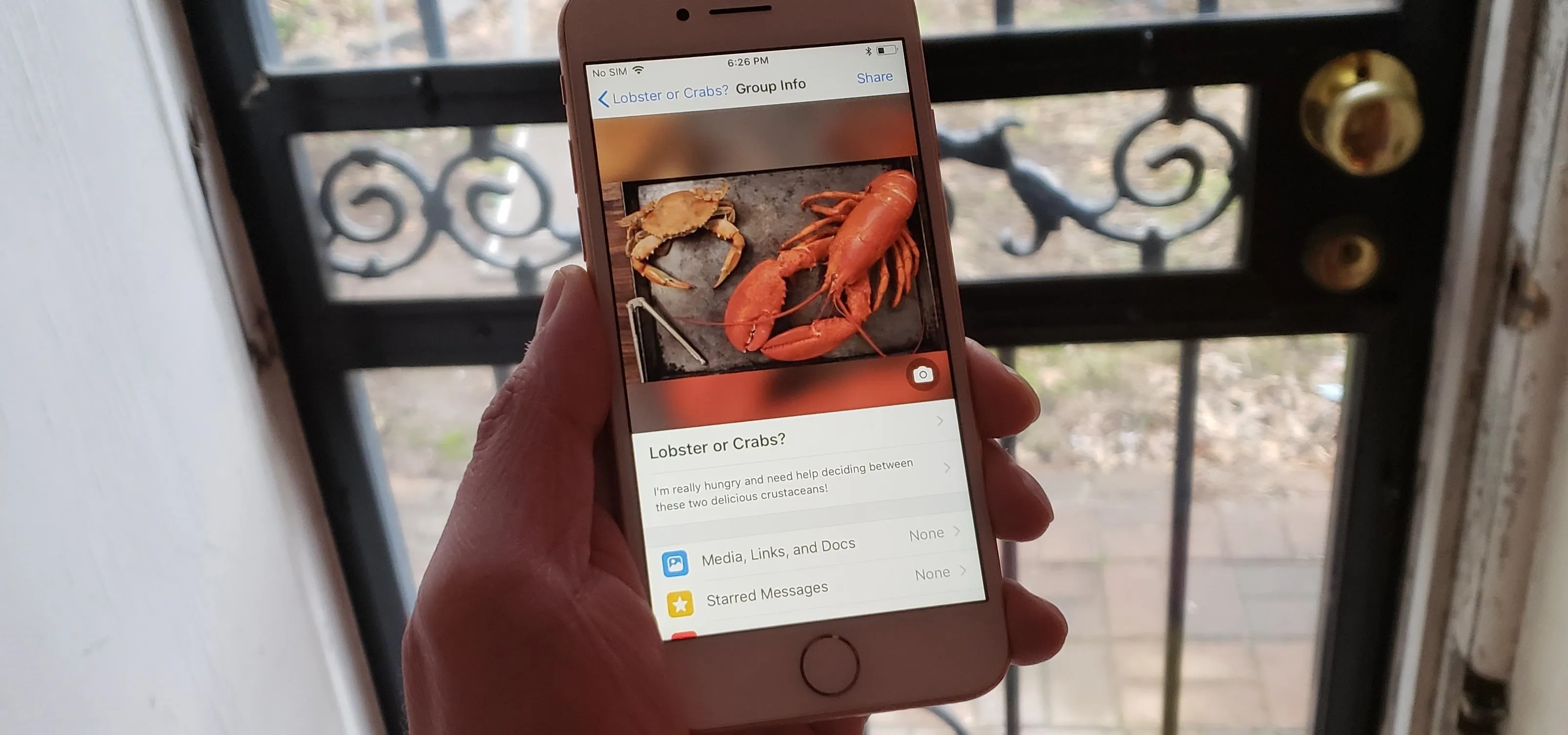 A person holding a smartphone displaying a close-up image of food, possibly seafood, in front of a gate.