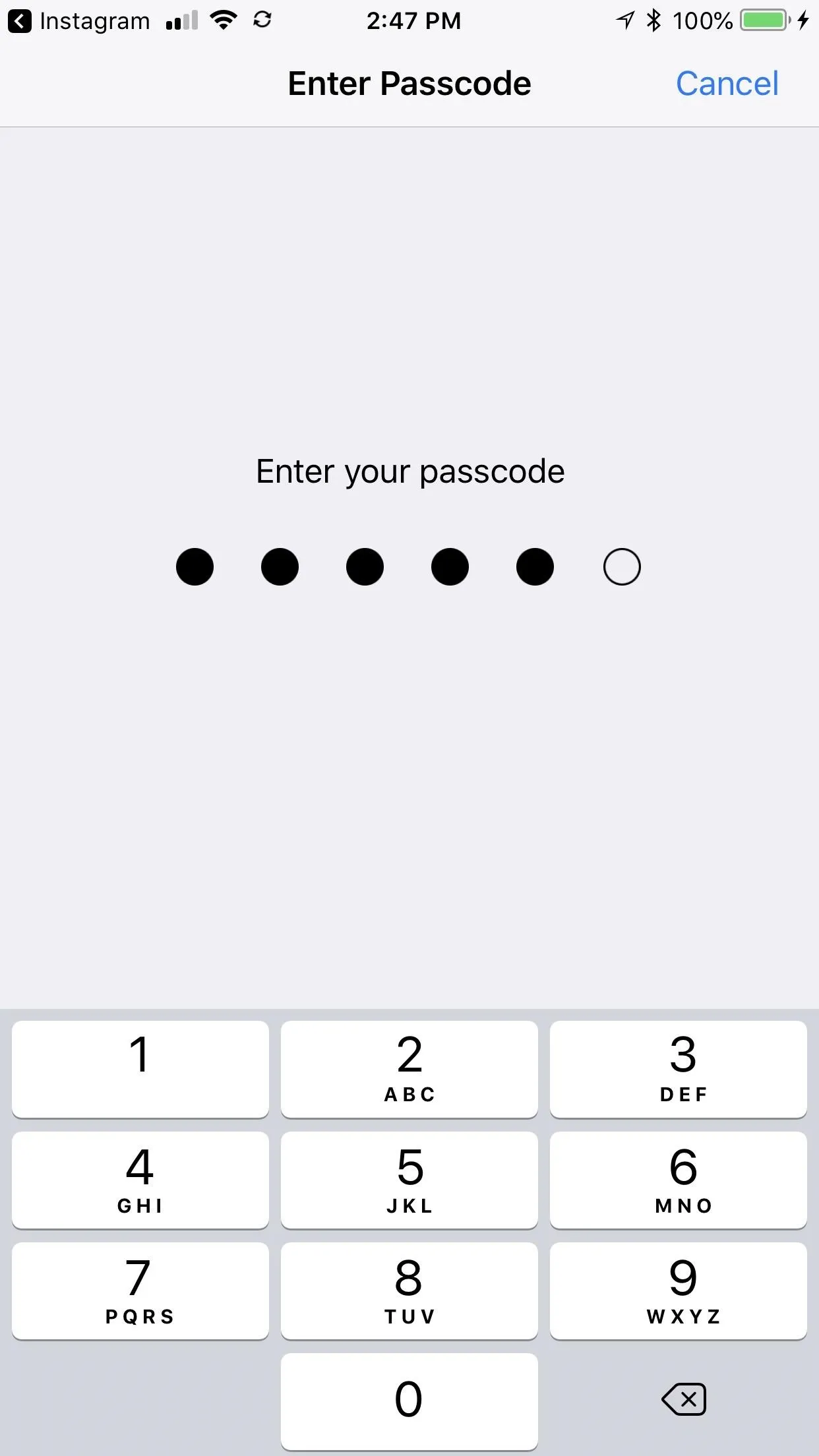 Enter your passcode screen on a mobile device.