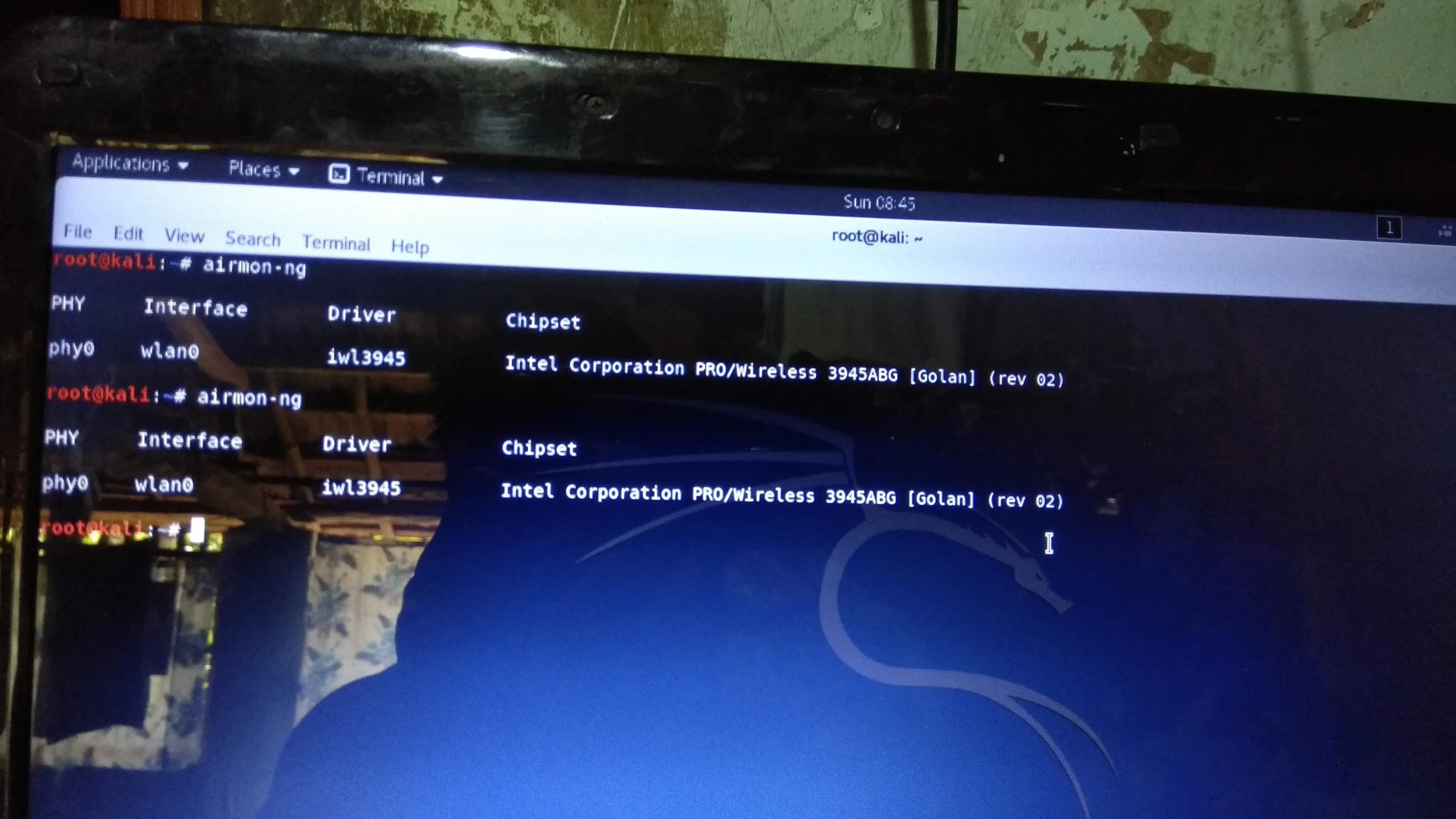 Command line interface displaying system information on a laptop screen.