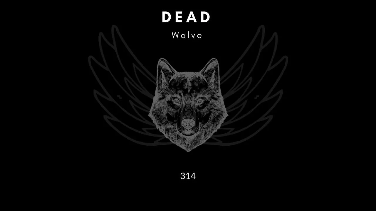 Dead Wolf Illustration with Wings