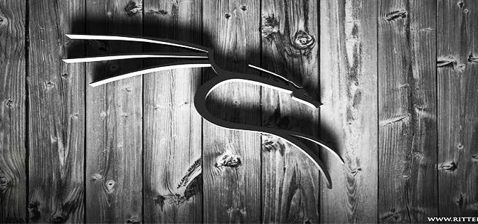 Which one is Animal Picture Is Inside in Kali Linux Wallpaper cover