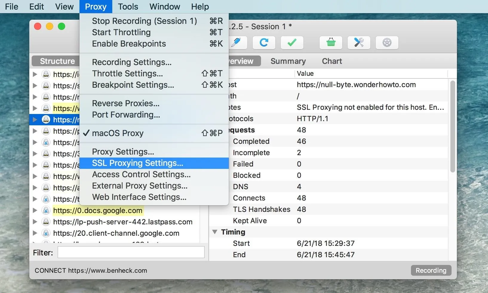 Screenshot of proxy settings in a network tool on a computer.