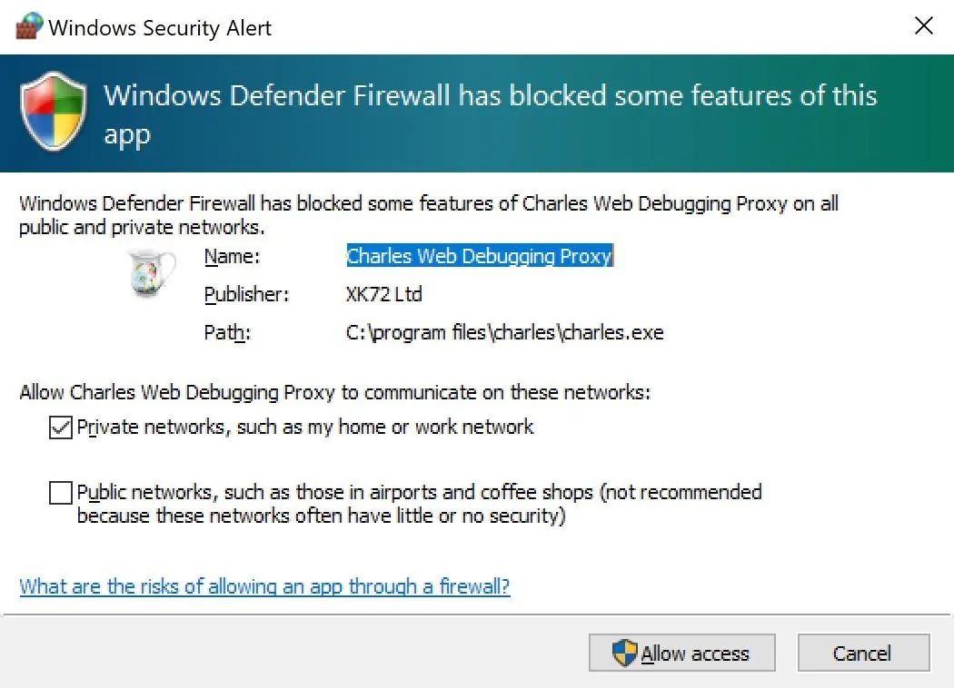 Windows Defender Firewall notification about blocked features of Charles Web Debugging Proxy app.