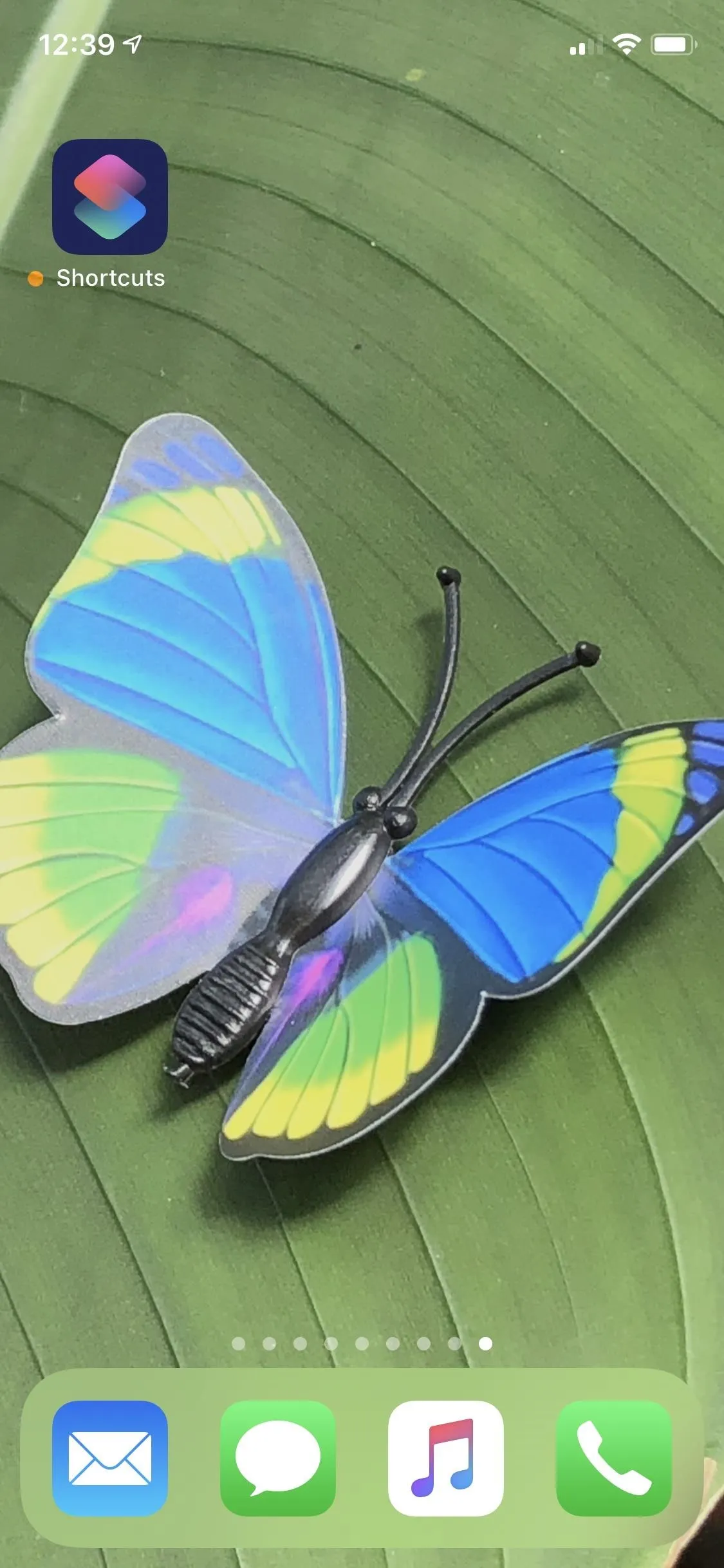 A colorful butterfly resting on a green leaf.