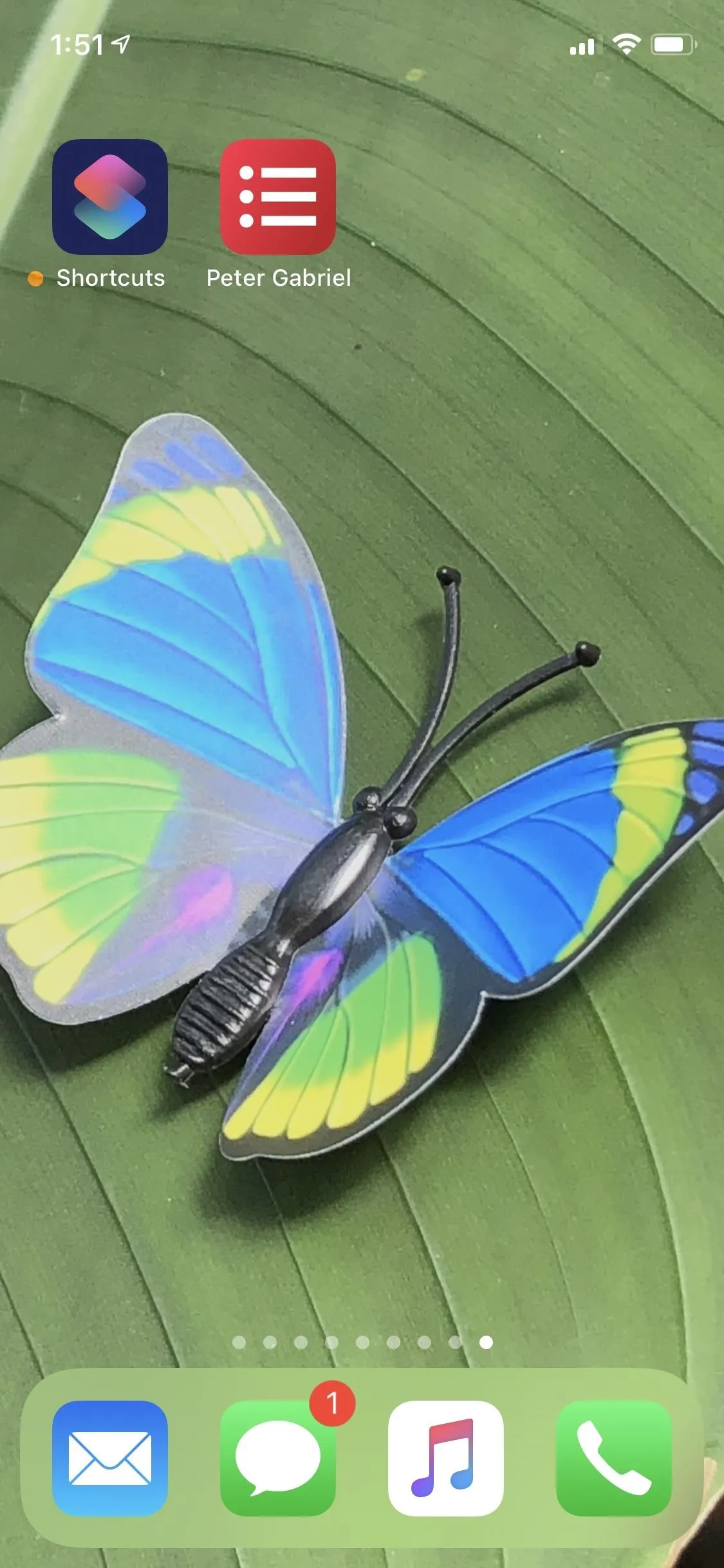 Colorful butterfly resting on a green leaf.