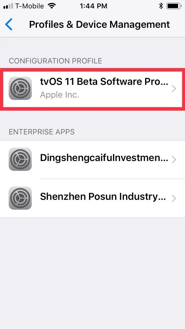 iOS device management screen displaying beta software profiles from Apple Inc.