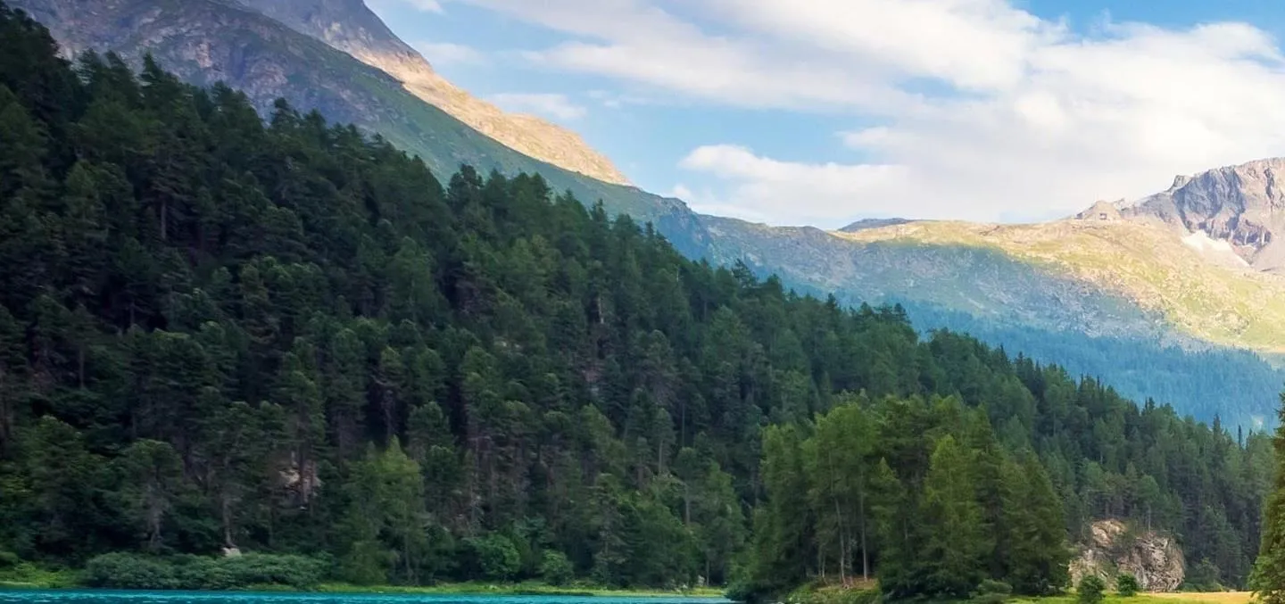 Scenic landscape of mountains and a lake surrounded by forest.