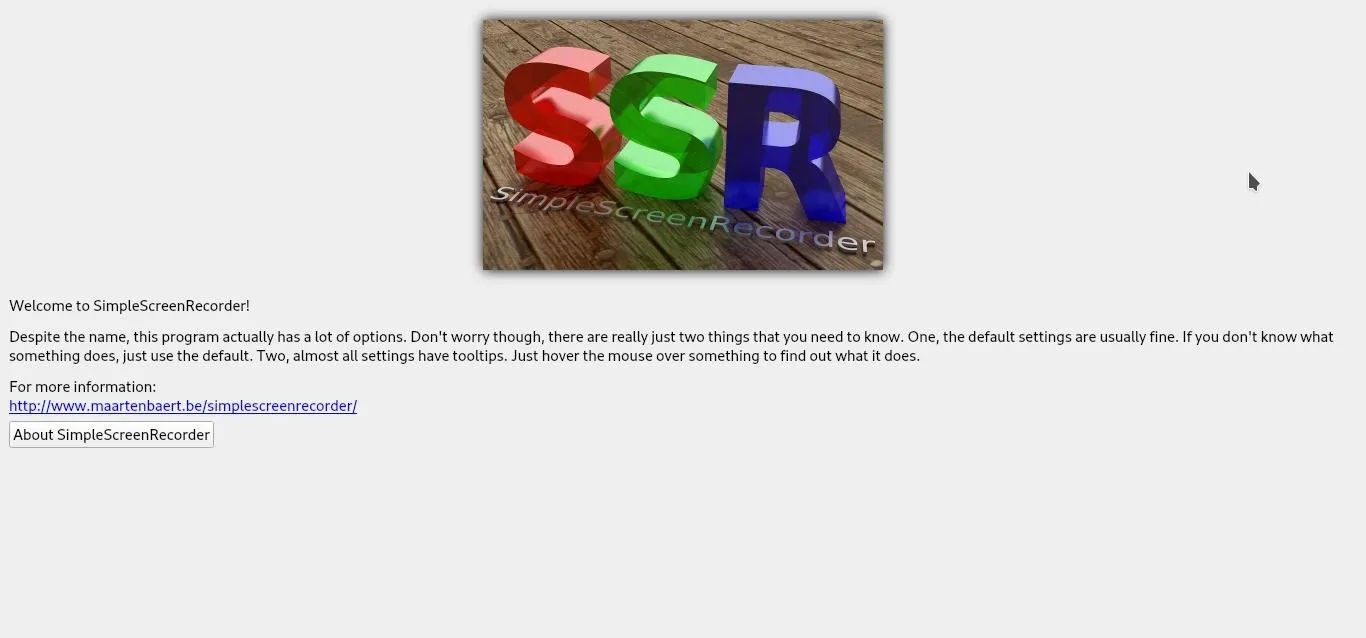 Colorful 3D letters "SSR" on a wooden surface.