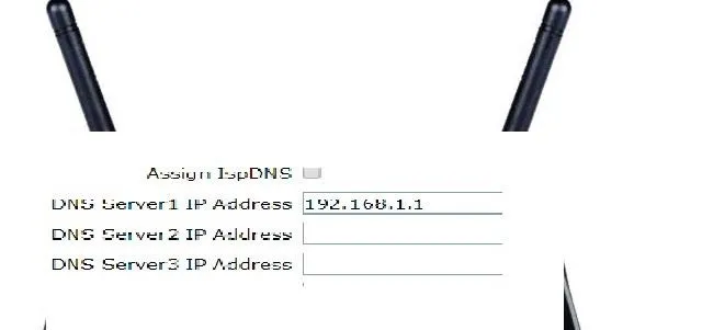 Router DNS server information with IP addresses.
