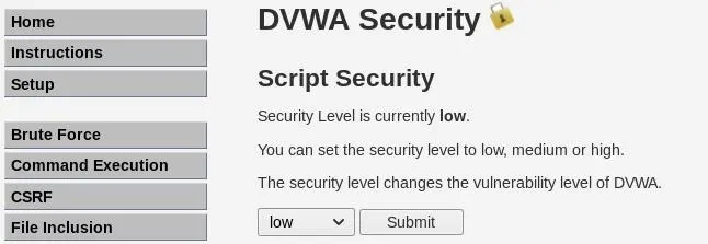 DVWA Security settings interface showing script security options with a current security level of low.