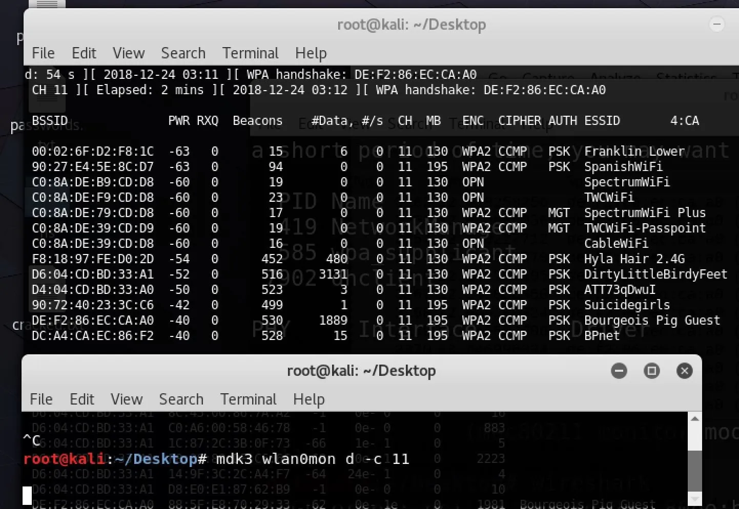 Terminal window displaying system processes and directory contents.