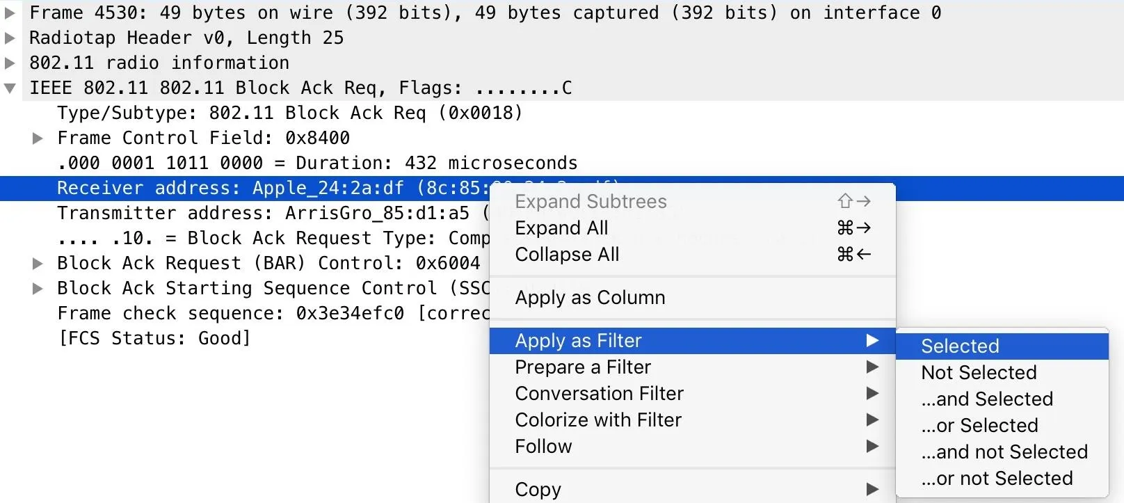 Network packet capture details with filter options.