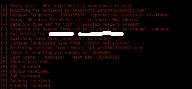 Vulnerability assessment report with technical details and references.