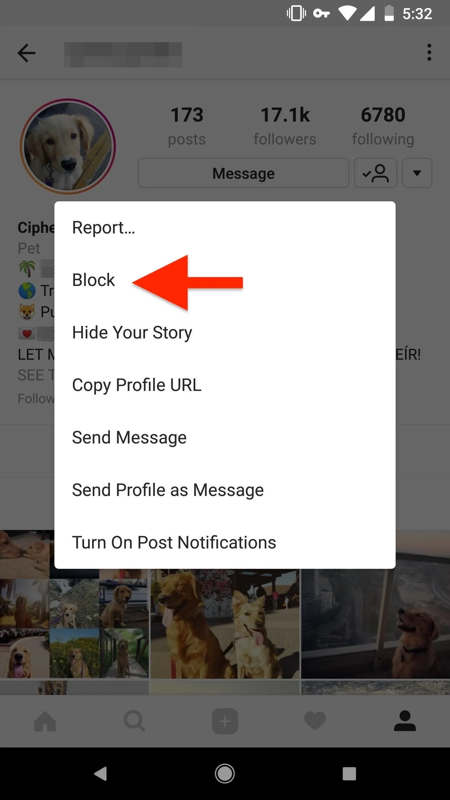 Menu options from a social media application, with an arrow pointing to the "Block" option.