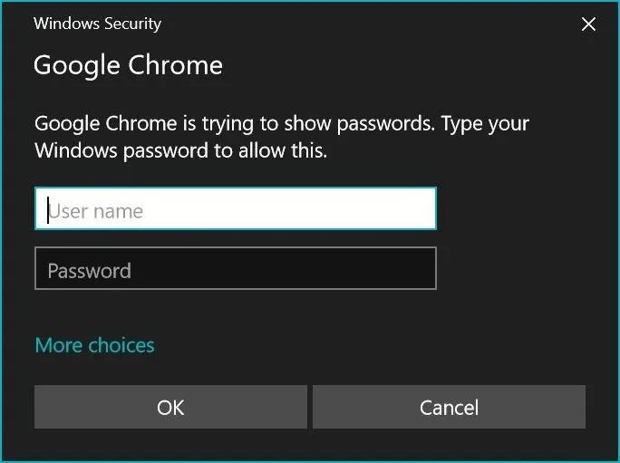 Google Chrome password prompt on Windows Security dialog.