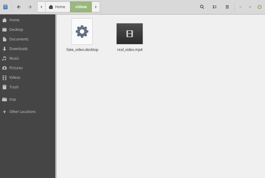 File management interface showing video folder with gear and document icons.