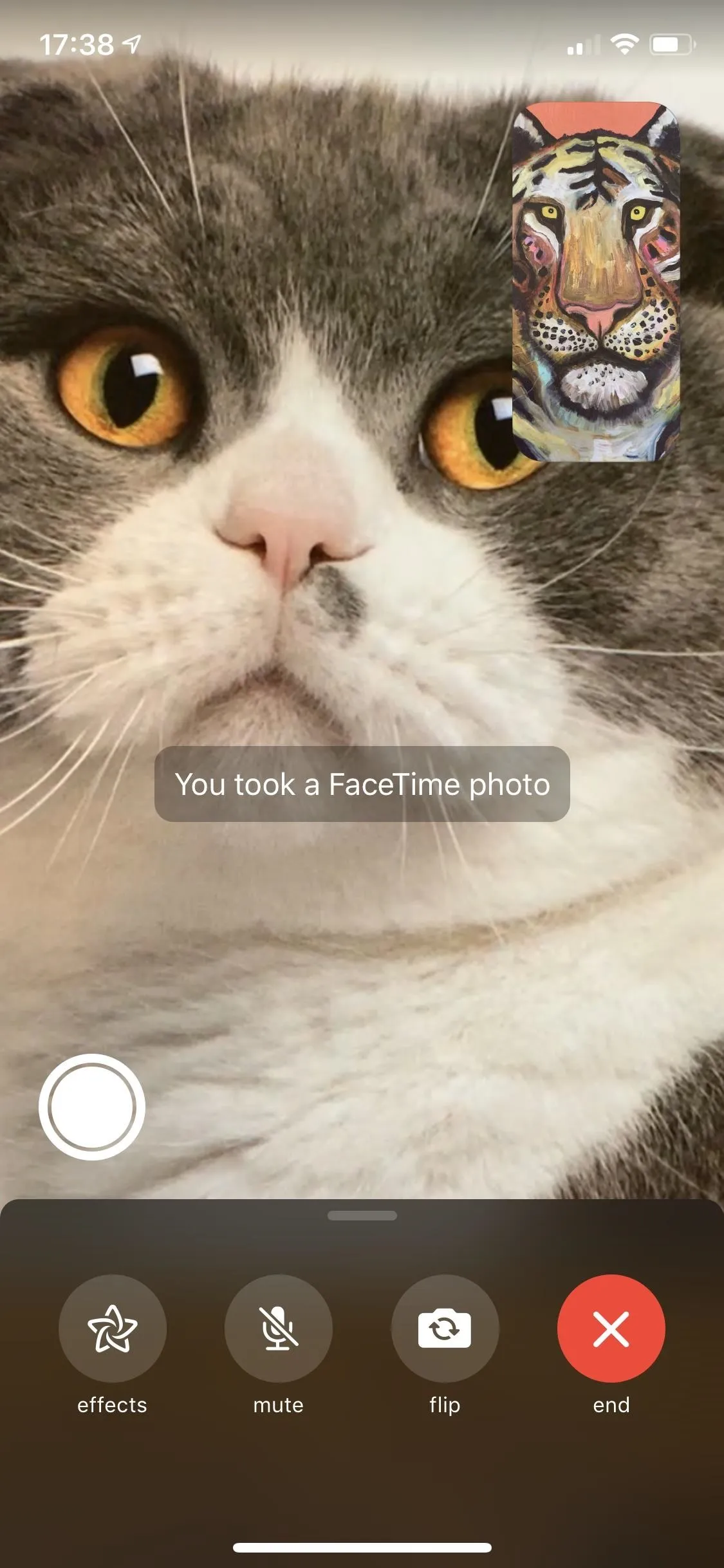 Take Live Photos of FaceTime Video Calls (& Protect Yourself from Getting Recorded)