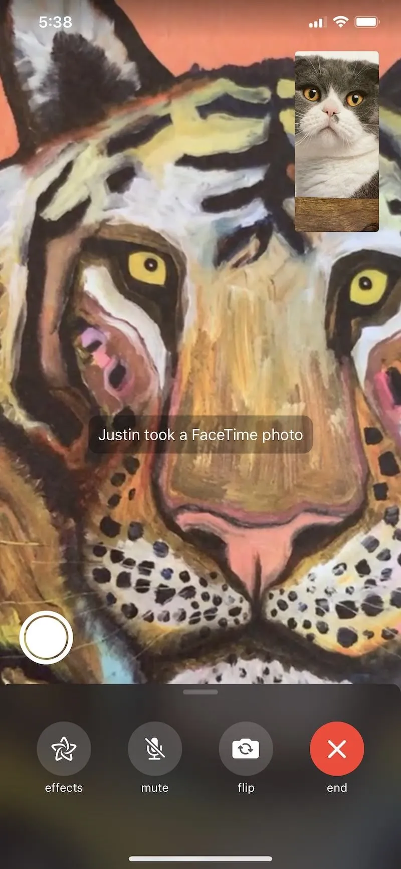 A close-up illustration of a colorful tiger's face.