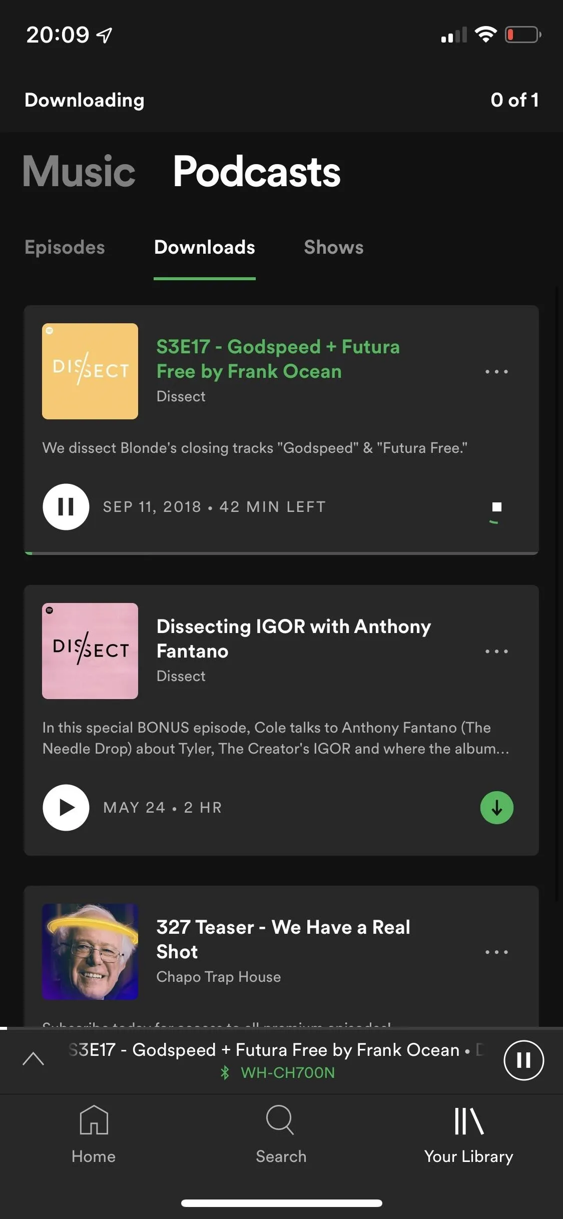 Podcast episodes displayed on a music streaming app.