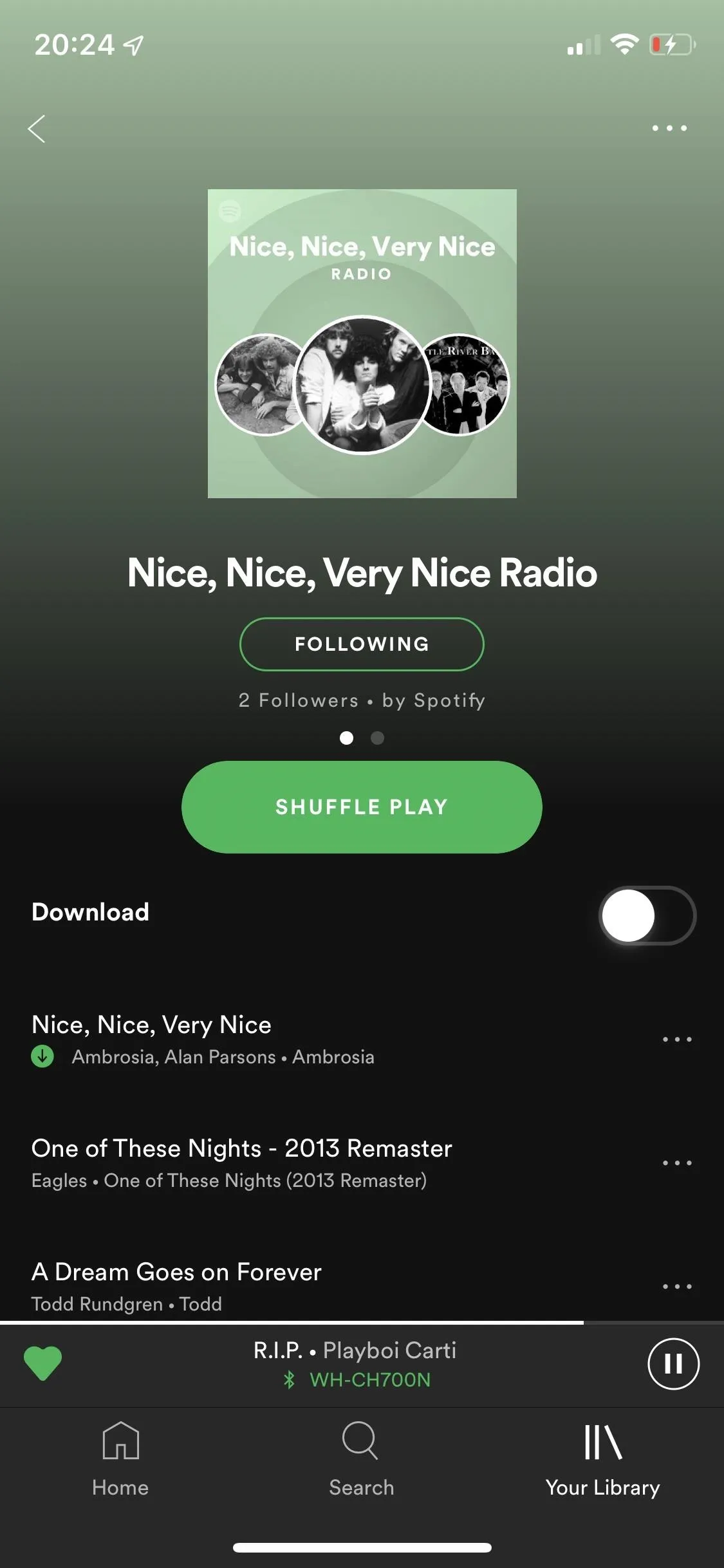 "Spotify interface showcasing the 'Nice, Nice, Very Nice Radio' playlist."