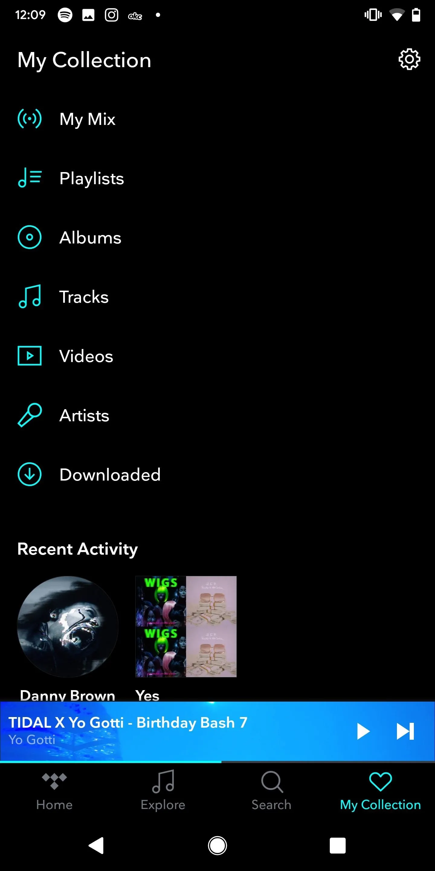 Screenshot of a music app interface showing a menu for collections, playlists, albums, and recent activity.