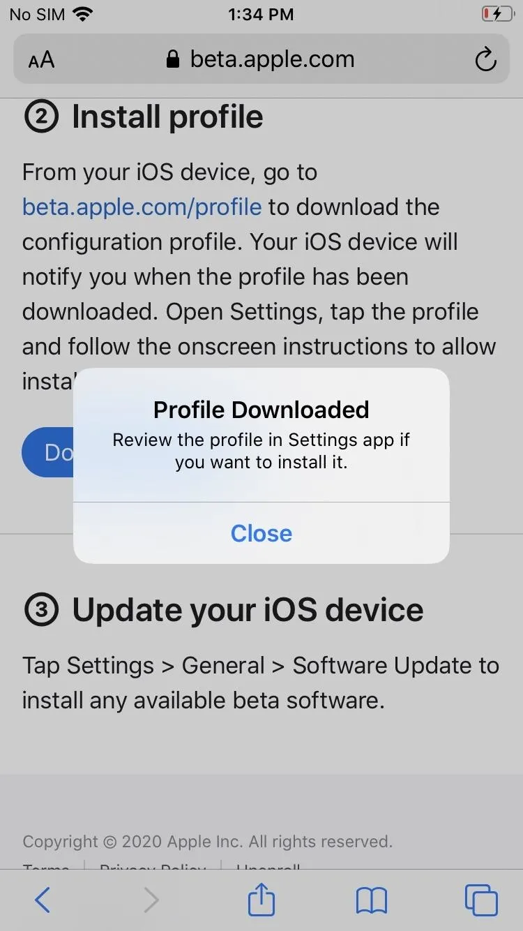 Installation instructions for downloading a profile on an iOS device.