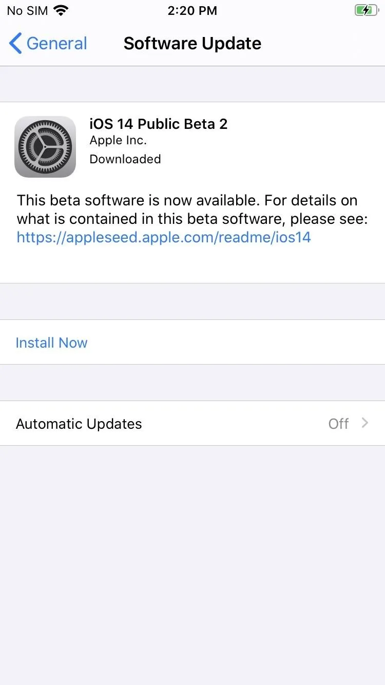 iOS 14 Public Beta 2 software update information screen