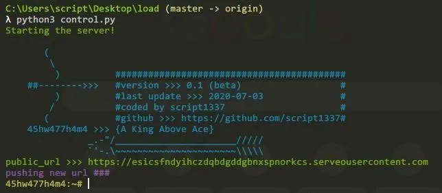 Code snippet displaying server startup commands in a terminal interface.