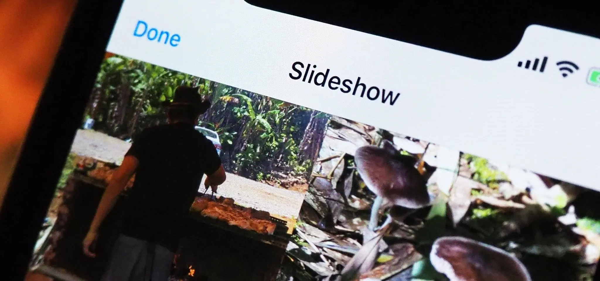 iOS 14 Makes It Easier to Turn Albums into Slideshows from the Photos App cover