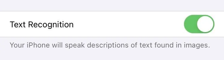Text recognition feature toggle on iPhone.