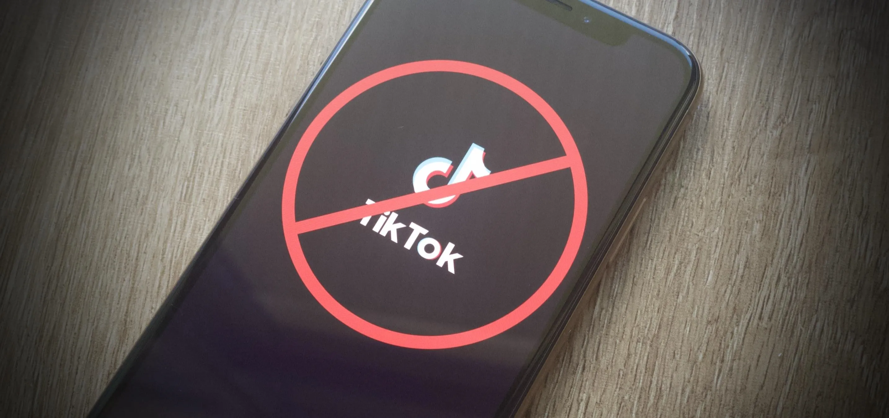 Smartphone screen displaying a "no TikTok" symbol.