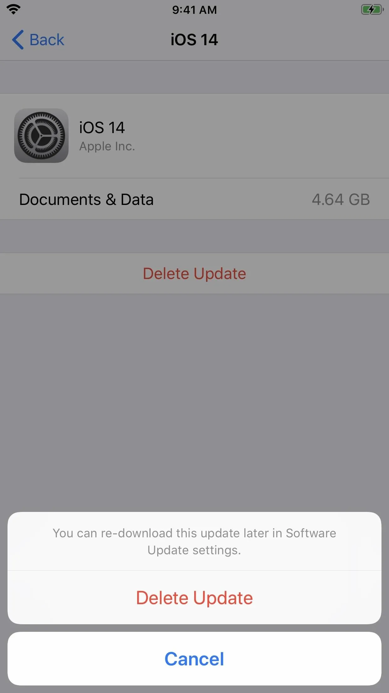 iOS storage settings screen showing app data management options.