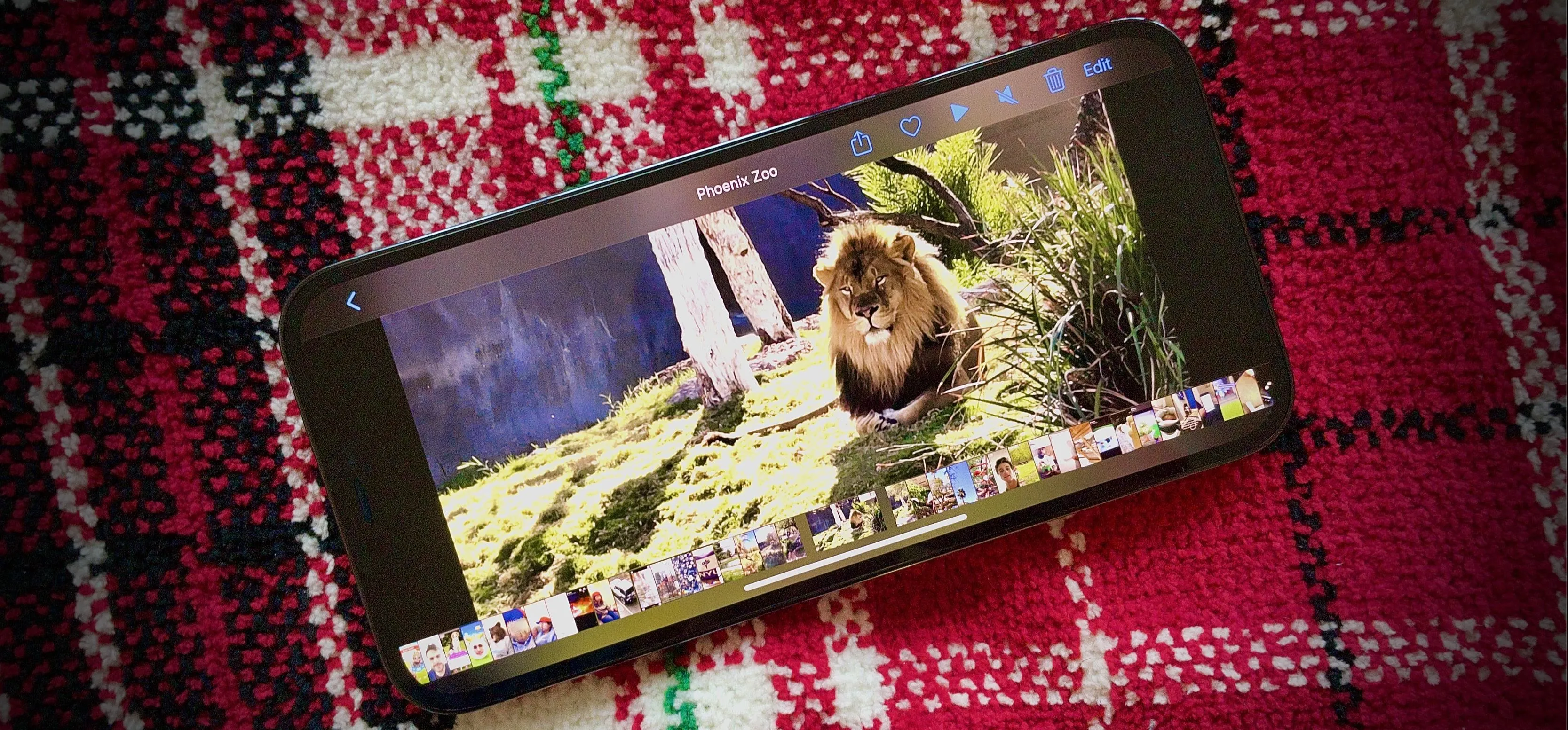 Smartphone displaying a lion image on a patterned surface.