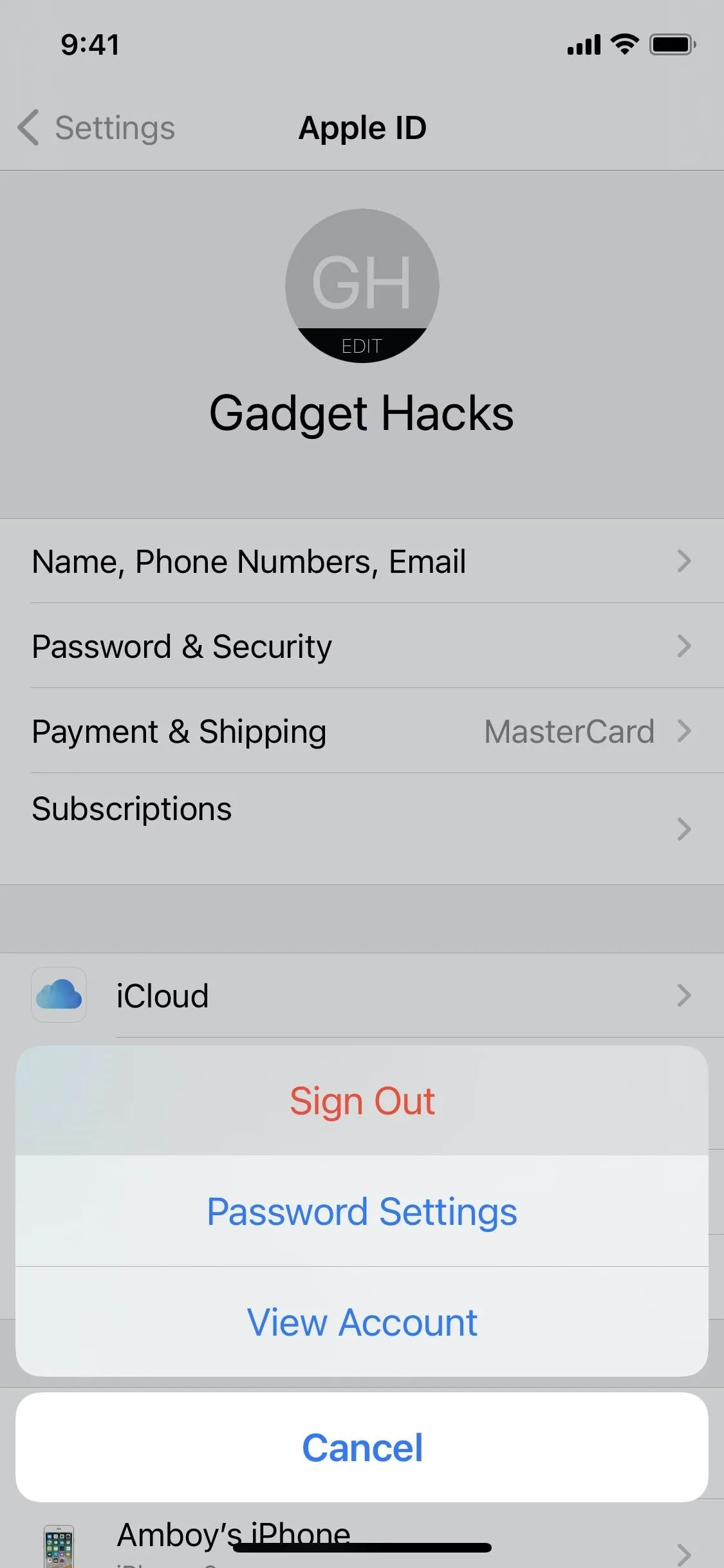 Apple ID settings page with options for account details, payment, and subscriptions.