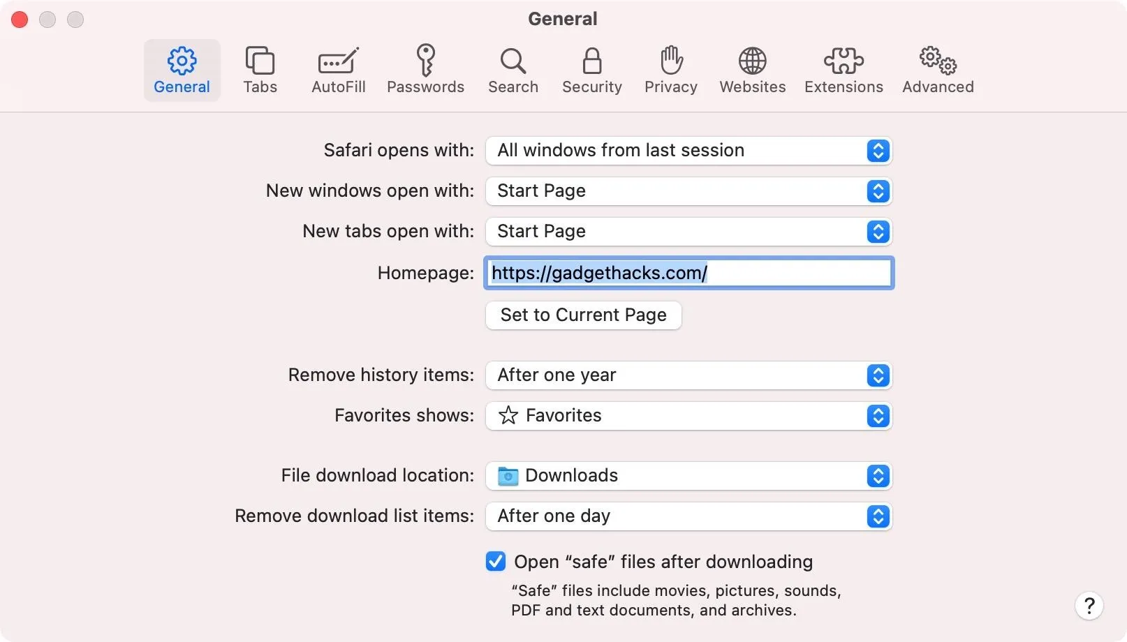 Settings menu for a web browser with options for homepage and download preferences.