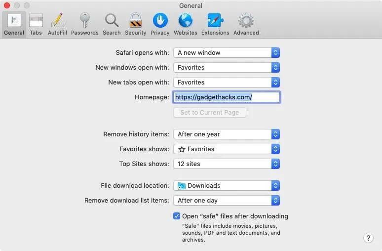 Browser settings interface displaying homepage and download preferences.