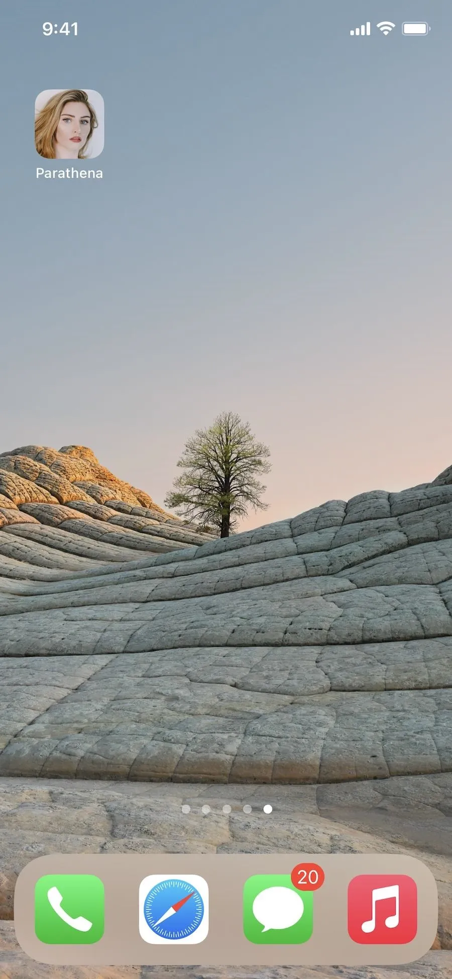 A minimalist landscape featuring a lone tree on a textured slope during sunset.