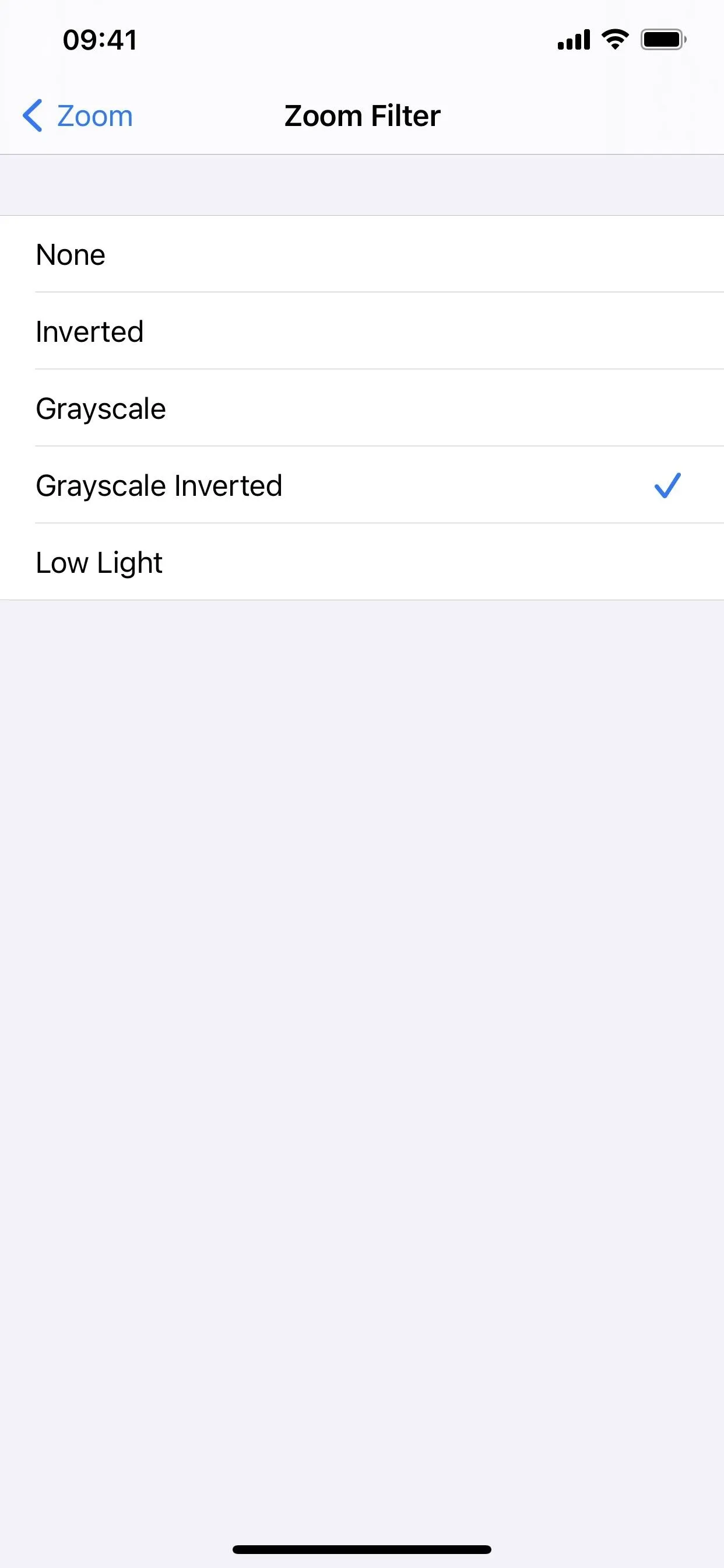 Settings menu showing options for Zoom Filter, including Portrait, Grayscale, and Low Light.