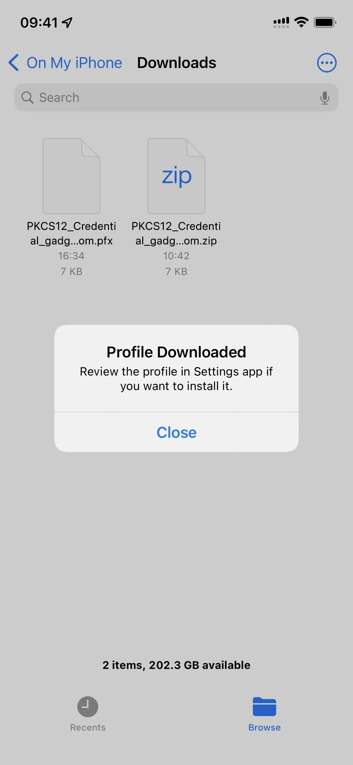 Profile download confirmation screen on a mobile device.