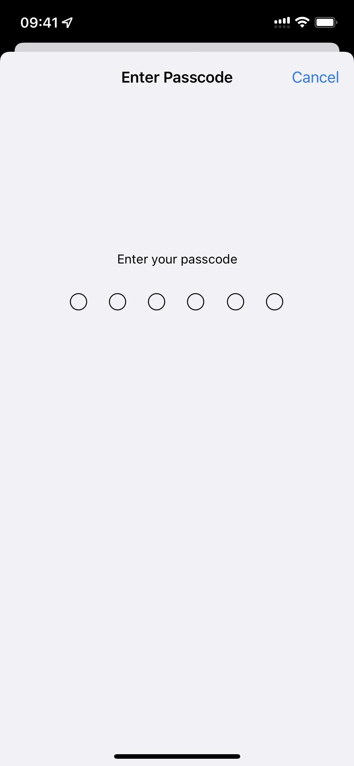 Enter password screen with empty input fields.