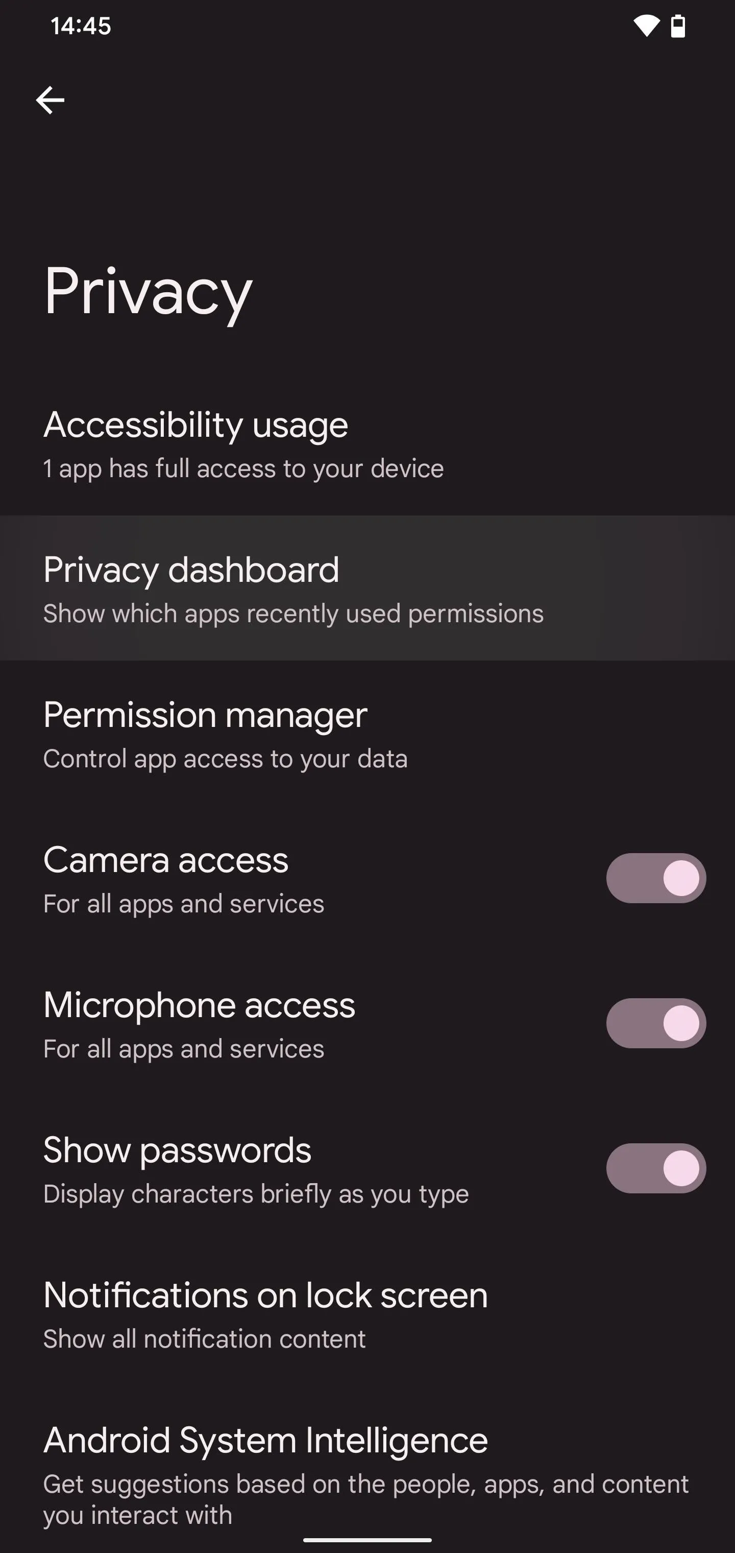 Privacy settings menu on a smartphone.