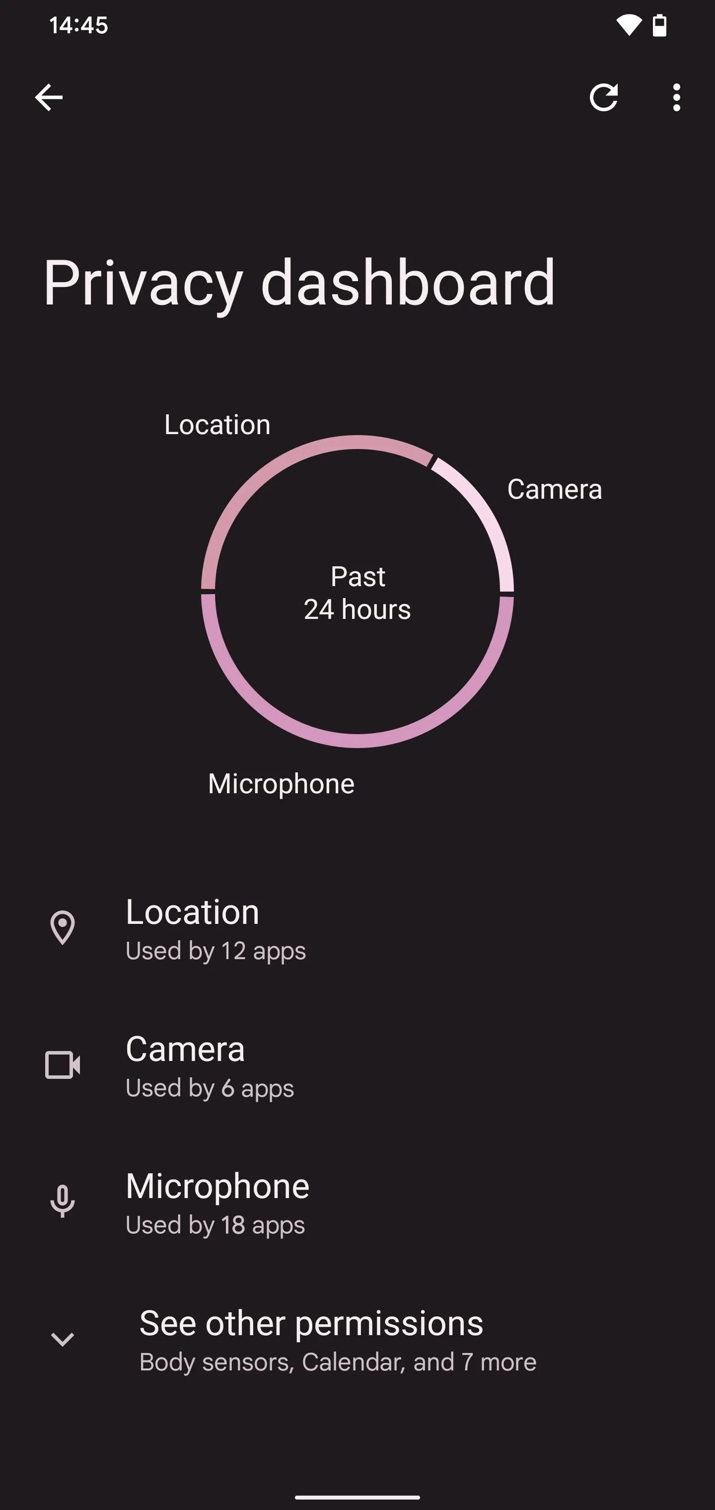 Privacy dashboard displaying location, camera, and microphone permissions.