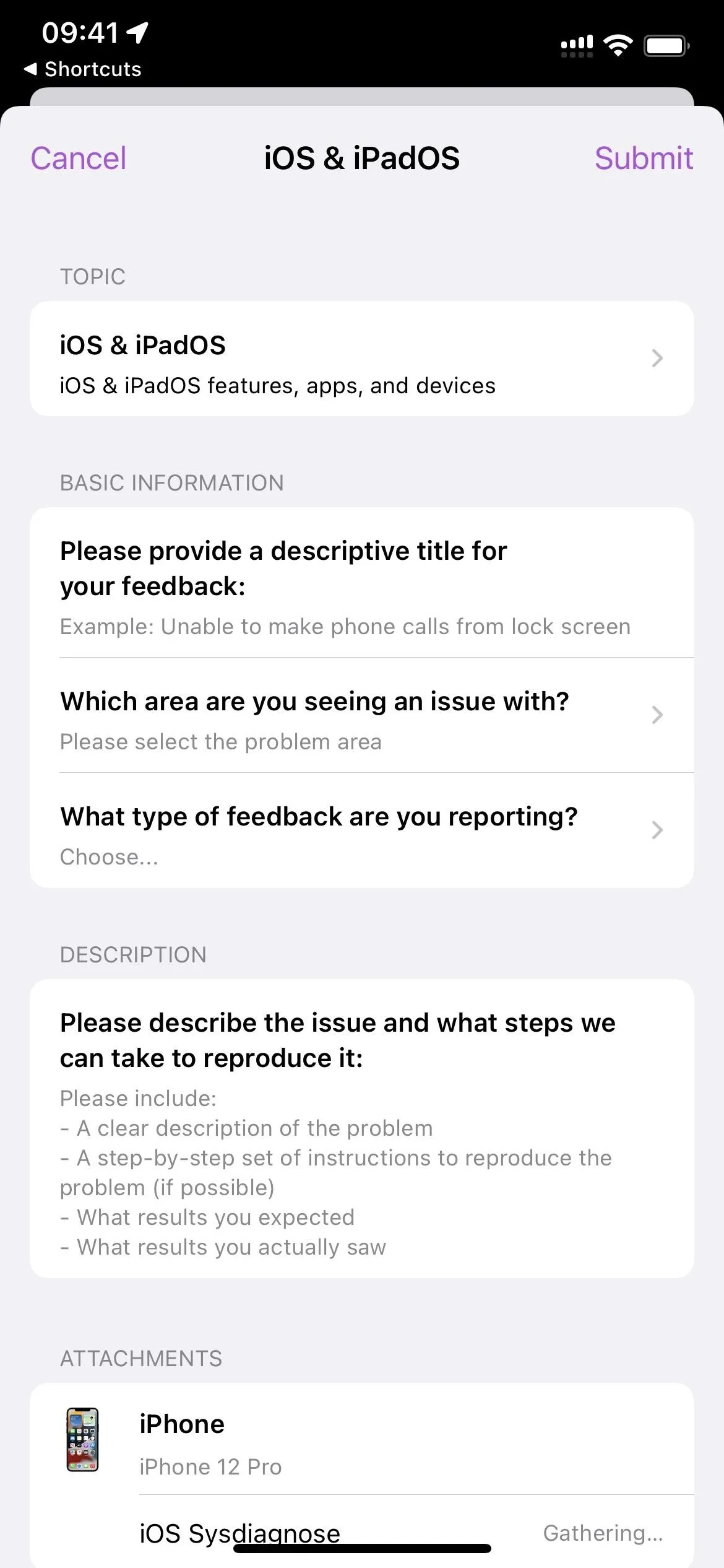 Feedback form for iOS and iPadOS issues with fields for description and additional details.