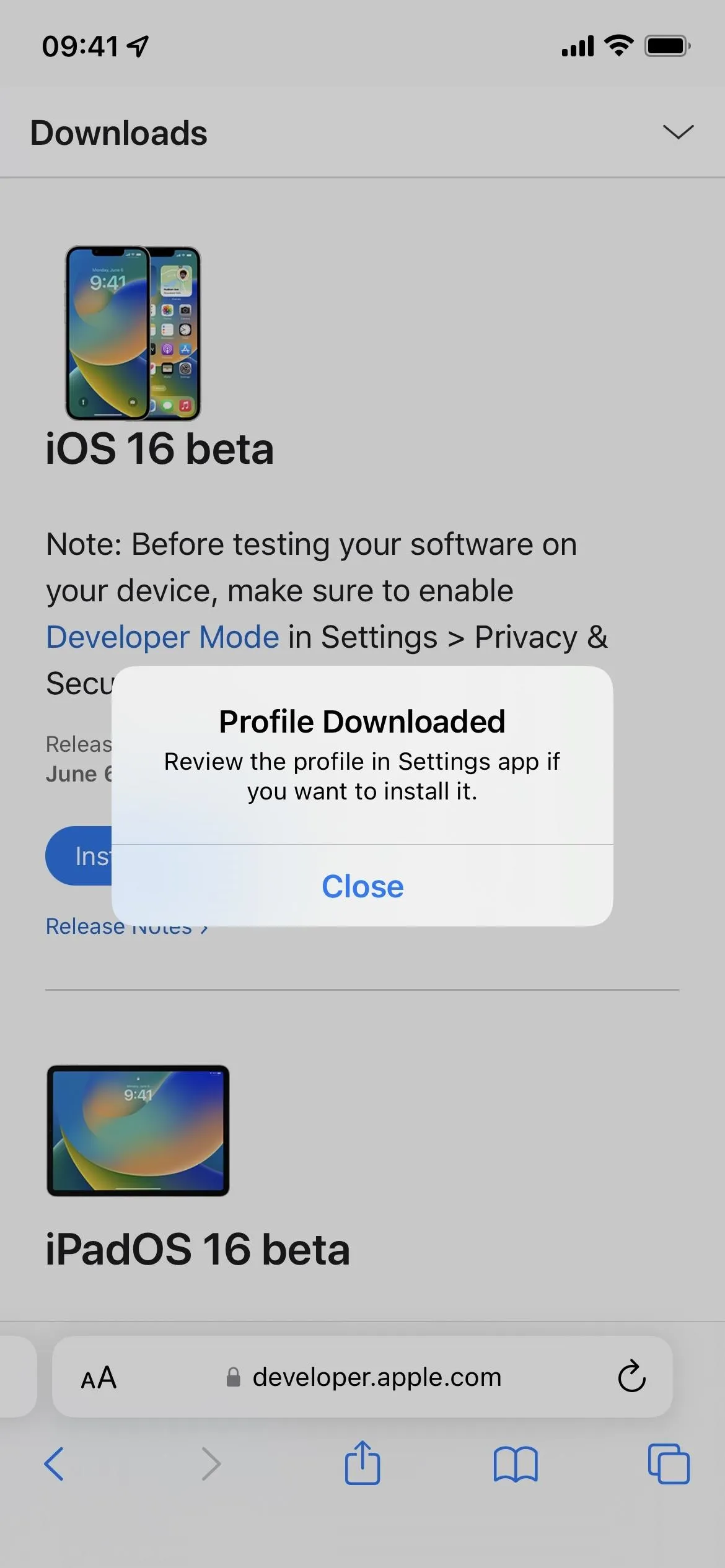 Download prompt for iOS beta profiles on a mobile device.