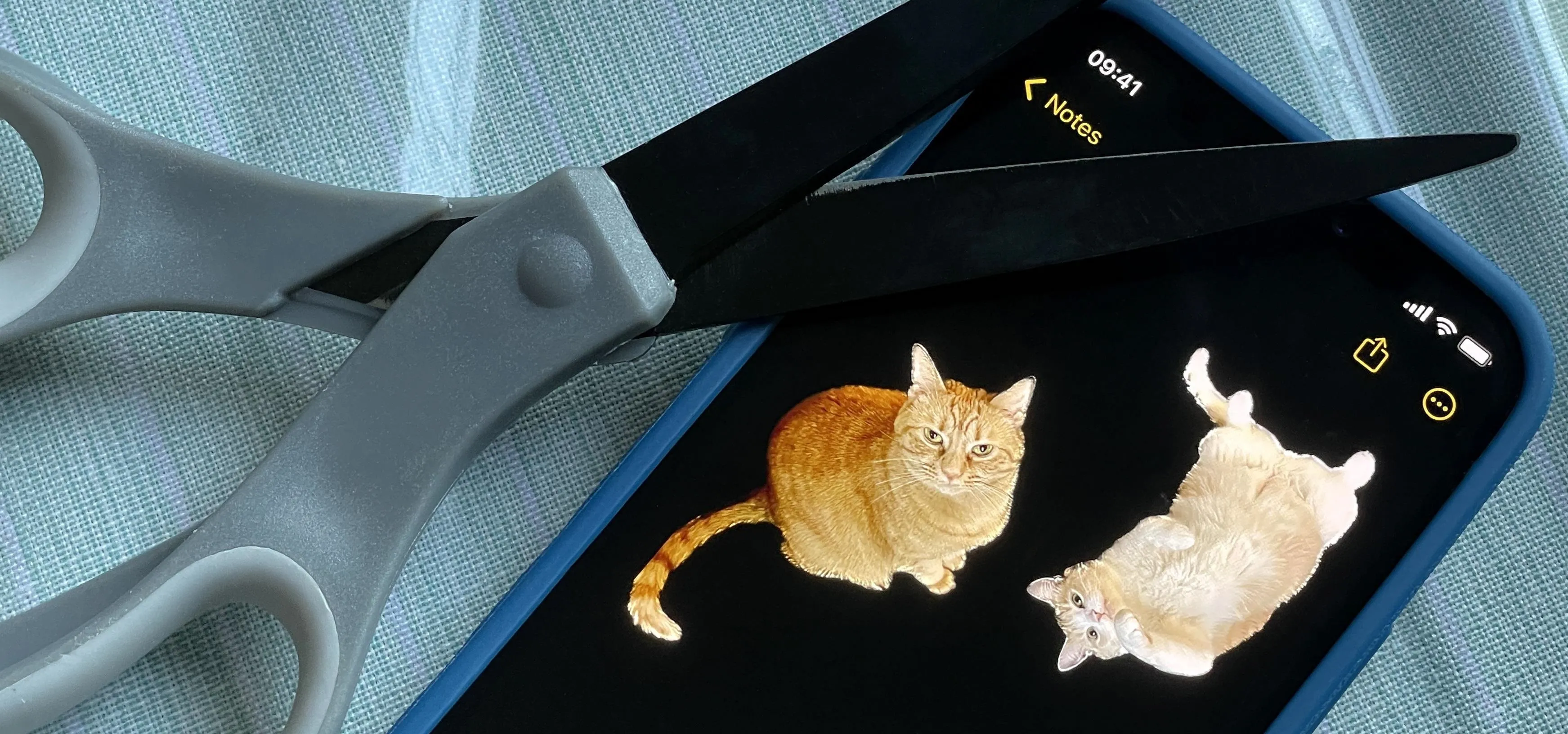 A pair of scissors positioned over a smartphone displaying images of cats.