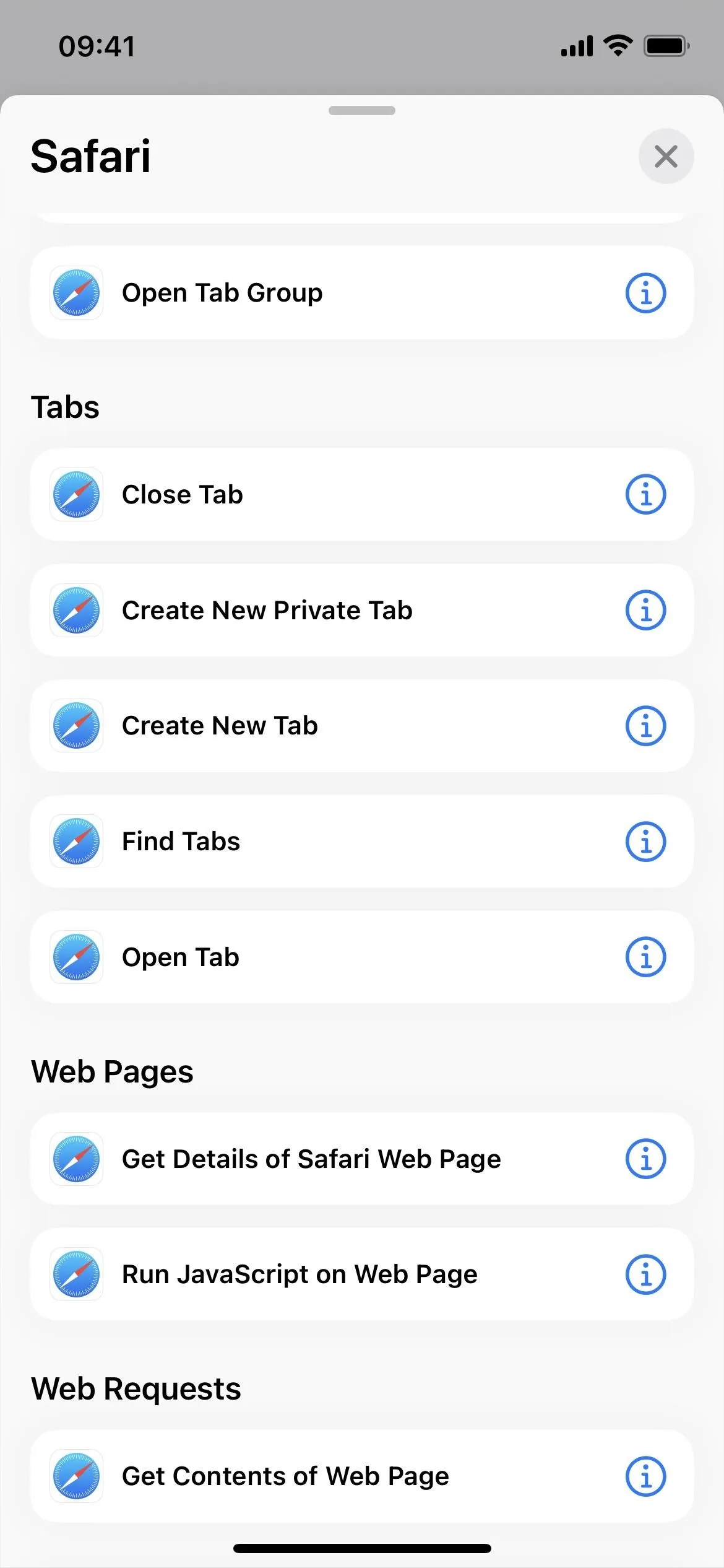 Screenshot of Safari browser settings on a mobile device.