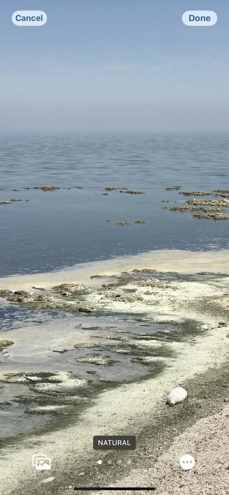 Scenic view of a calm body of water with shoreline and vegetation.