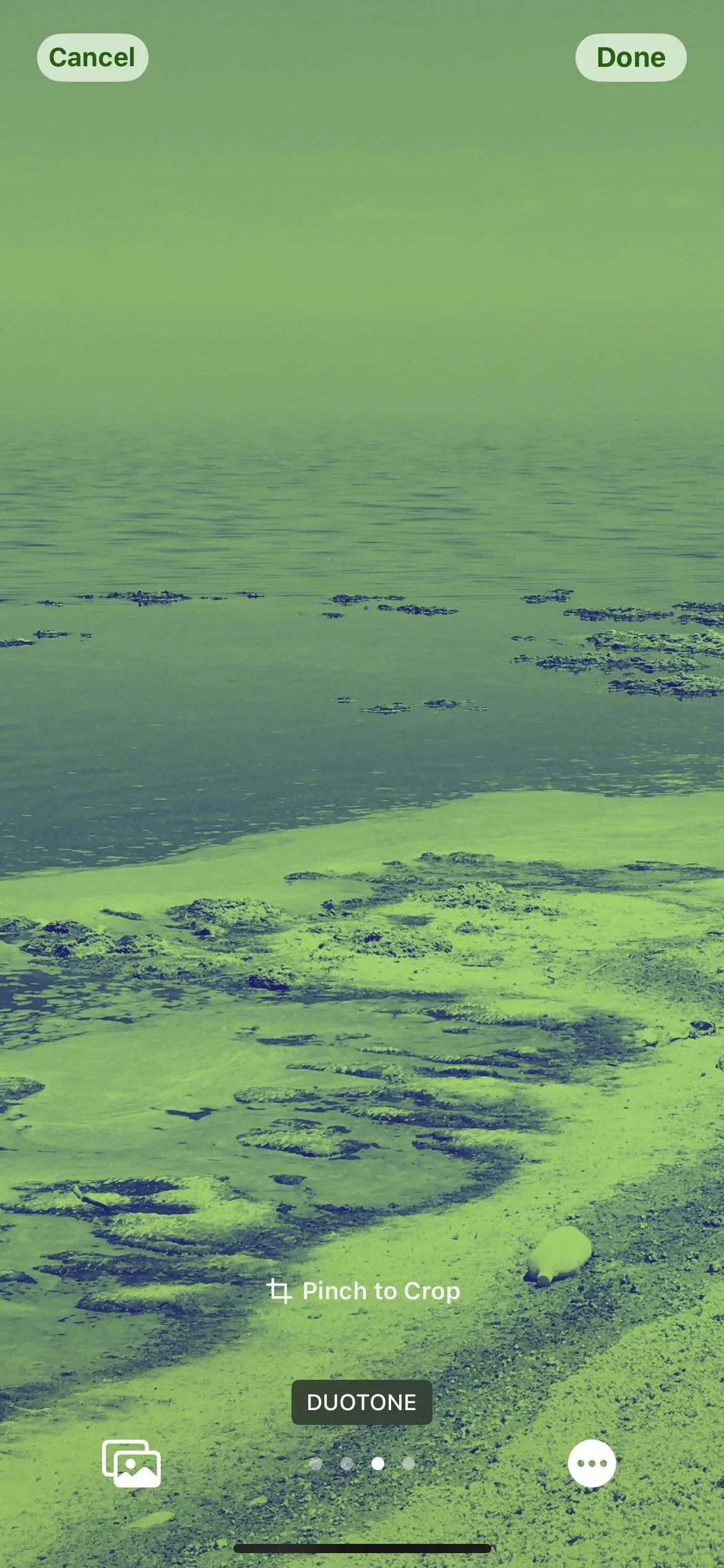 Aerial view of a greenish landscape with water and vegetation.